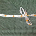 Комплект постельного белья Stile Tex (Стиль Текс) мако-сатин однотонный CO-17