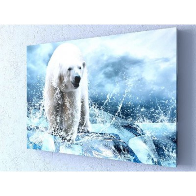 Фотокартина Белый медведь