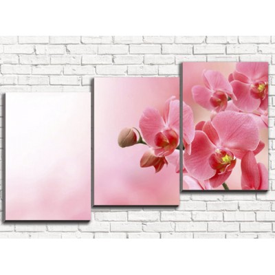 Модульная картина Нежная розовая орхидея (арт. 3_1)