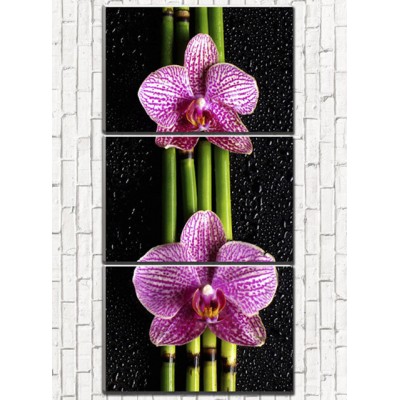 Модульная картина Орхидея на черном (арт. 3_1)
