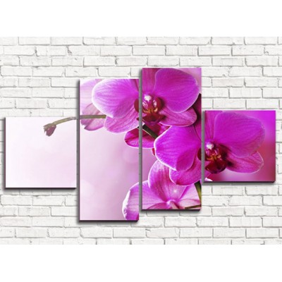 Модульная картина Розовая орхидея 2 (арт. 4_1)
